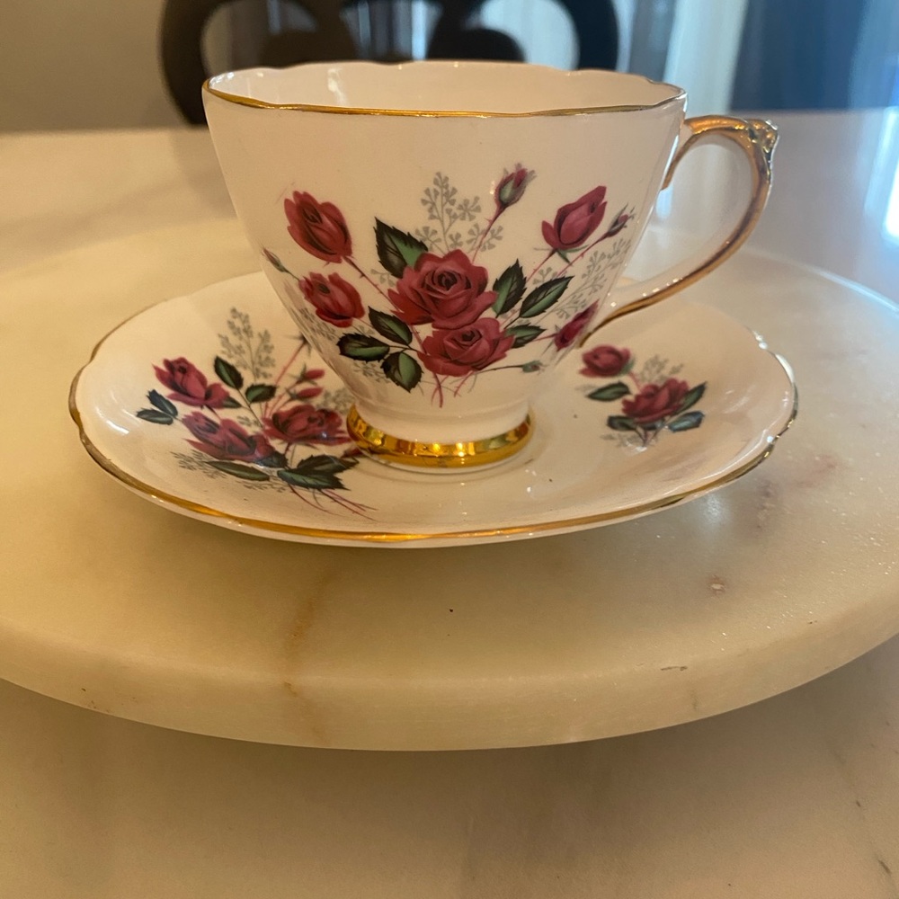 Antique Delphine China Rose Patterned Tea Cup and Saucer Set Made in England.